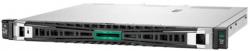 Server HPE ProLiant DL20 Gen11 (P65396-B21)